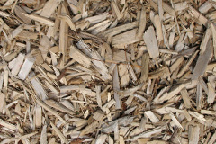 biomass boilers Caehopkin