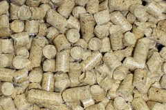 Caehopkin biomass boiler costs